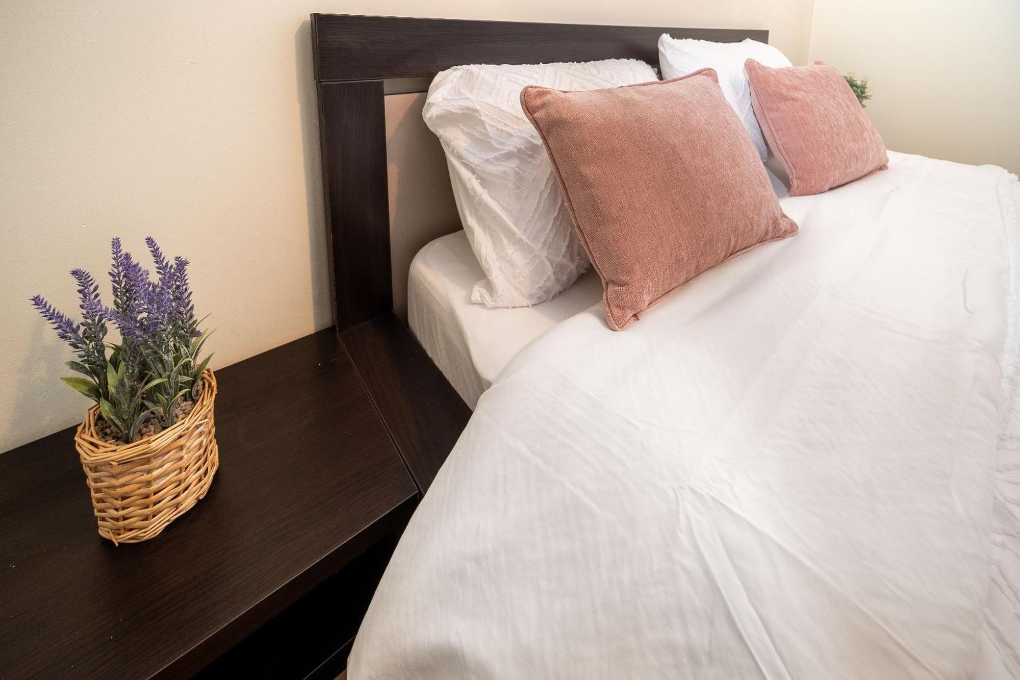 Central Elegant - Anastasia Apartment - By Openhouse Timisoara Luaran gambar